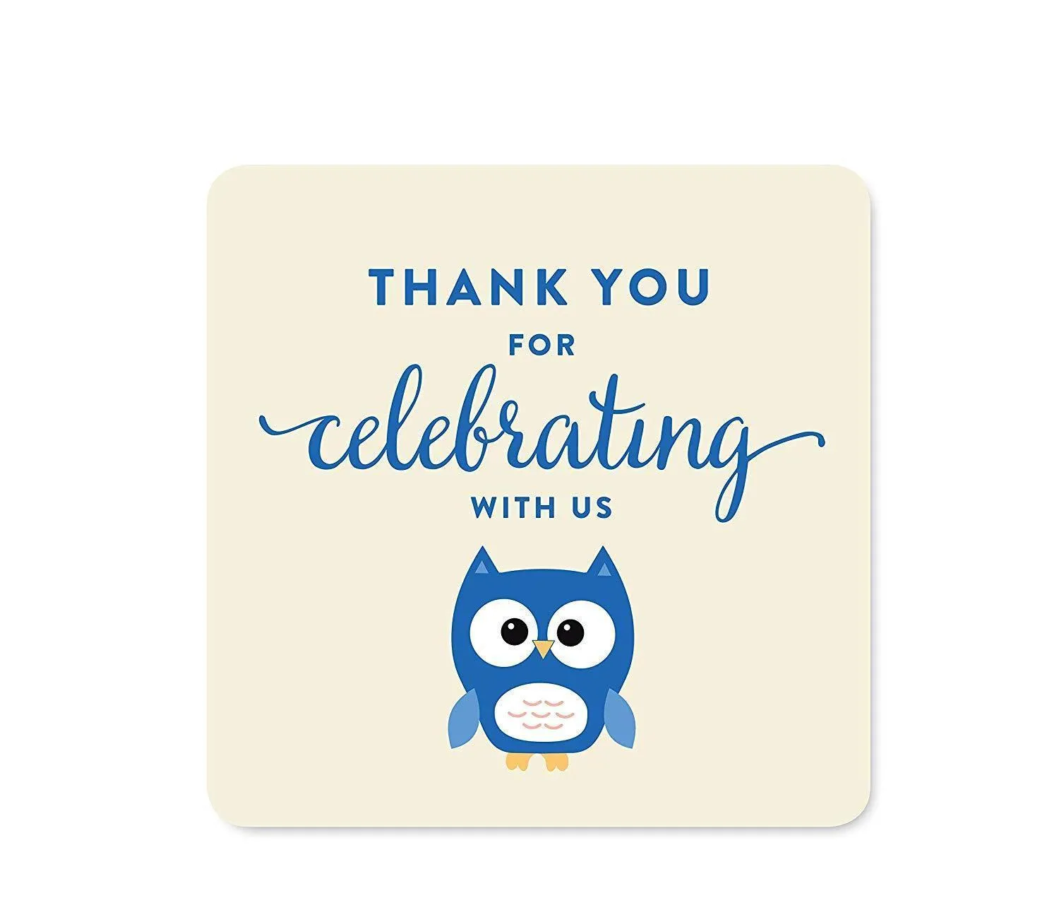 Boy Owl Baby Shower Favor Box DIY Party Favors Kit