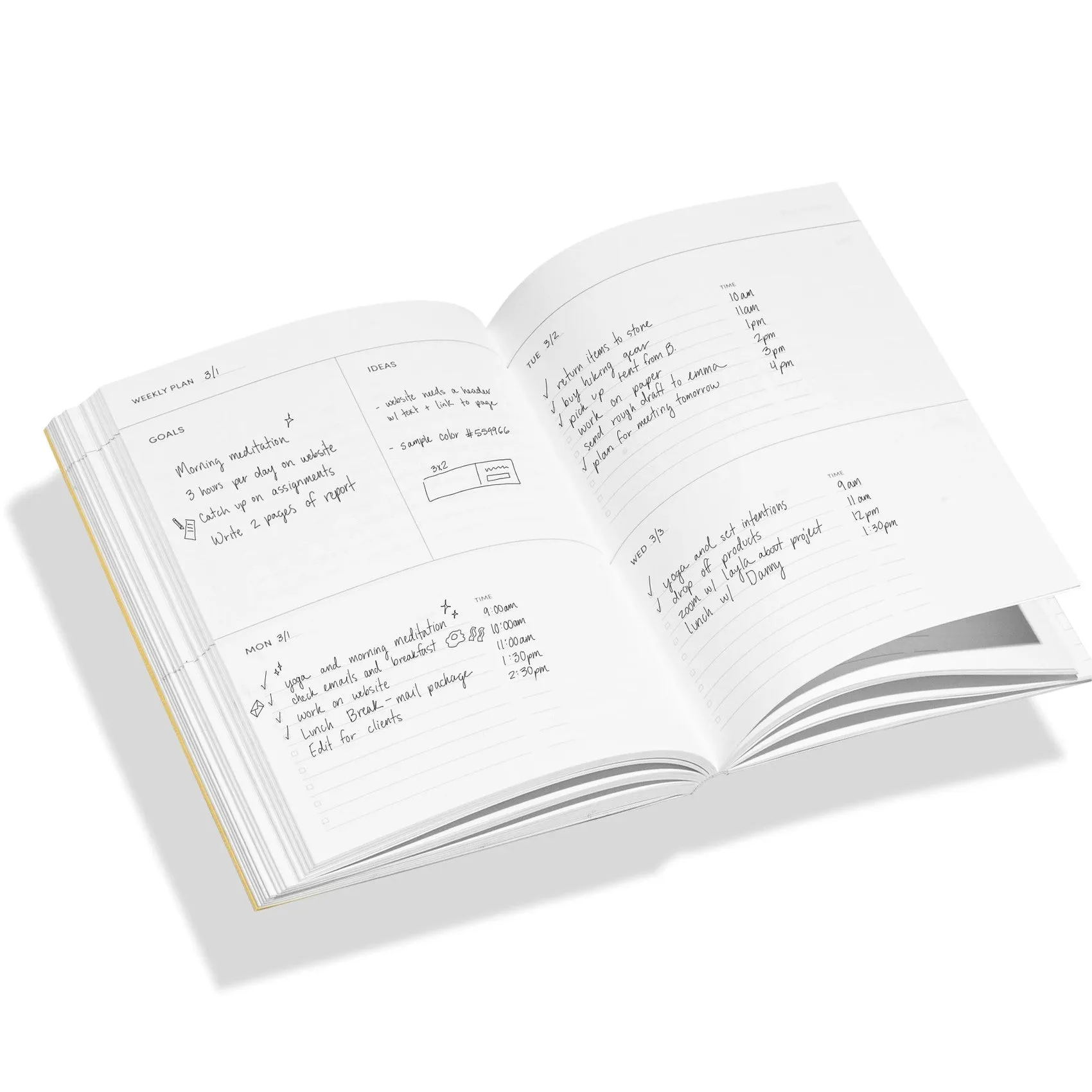 Concept Planner (Sun)